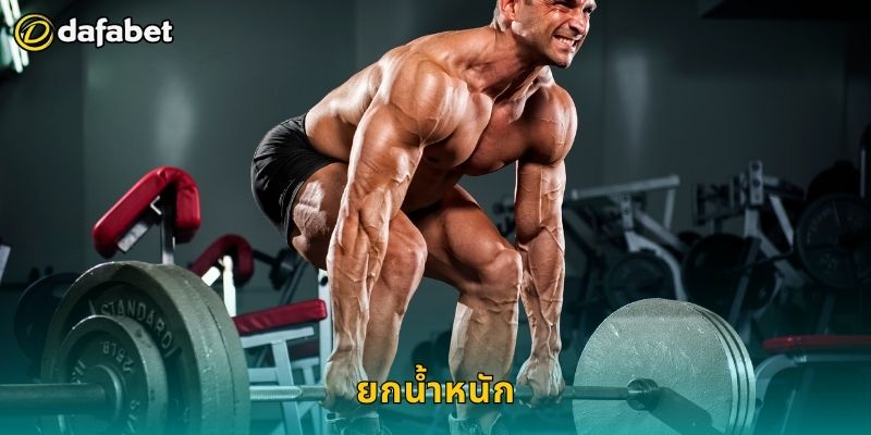 ยกน้ำหนัก เดิมพันมั่นใจ – วิเคราะห์ผลแม่นยำที่ Dafabet